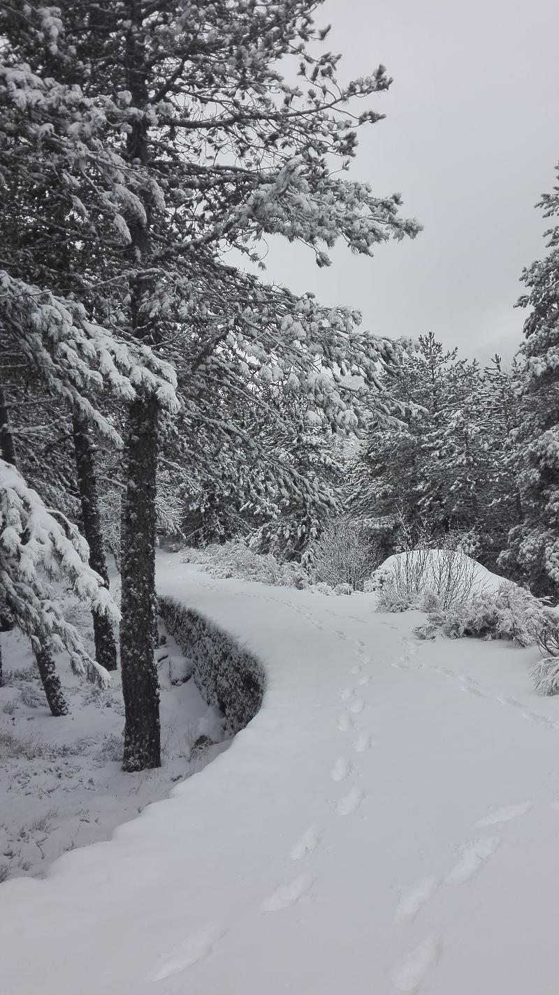 Pousada Da Serra Da Estrela كوفيلهَ المظهر الخارجي الصورة